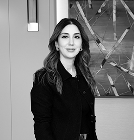 Didem Şengül